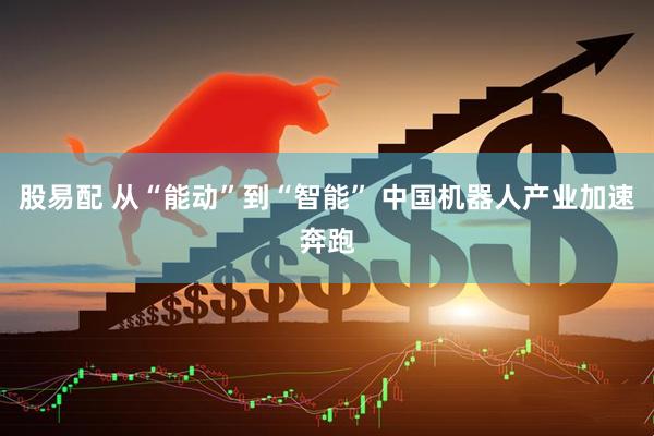 股易配 从“能动”到“智能” 中国机器人产业加速奔跑