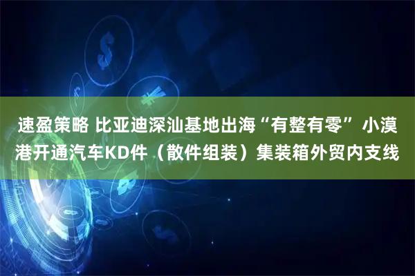 速盈策略 比亚迪深汕基地出海“有整有零” 小漠港开通汽车KD件（散件组装）集装箱外贸内支线