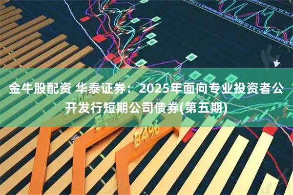 金牛股配资 华泰证券：2025年面向专业投资者公开发行短期公司债券(第五期)